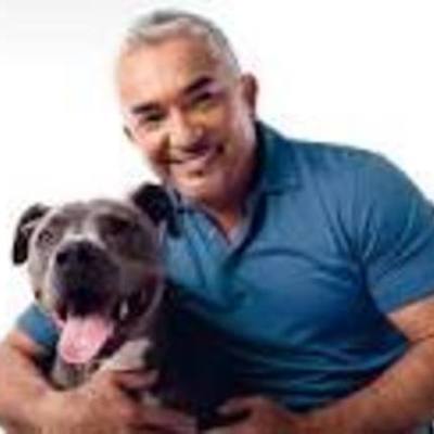 Timeline: Cesar millan