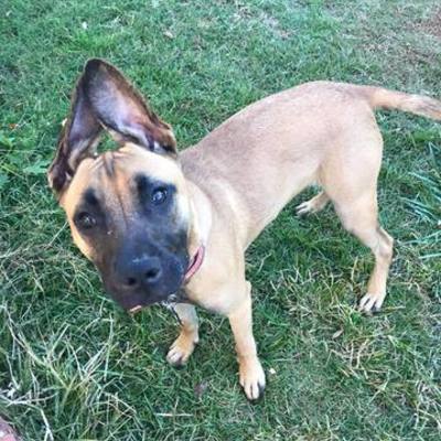 Timeline: Solving a Story Problem