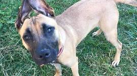 Timeline: Solving a Story Problem