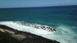 Timeline: my timeline