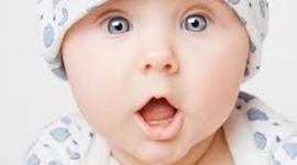 Timeline: CICLO VITAL