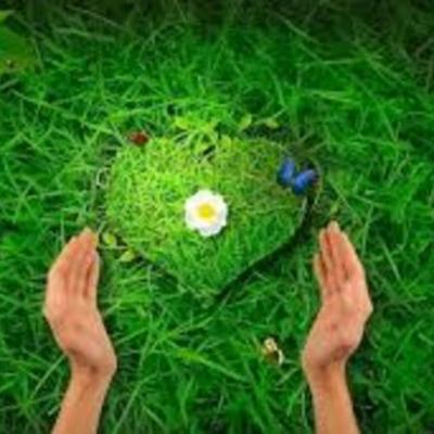 Timeline: LA NATURALEZA