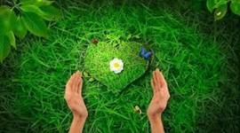 Timeline: LA NATURALEZA