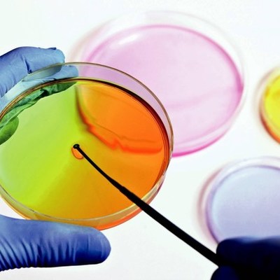 Timeline: Historia de la Microbiología