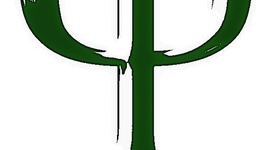 Timeline: Dinâmica de Grupo