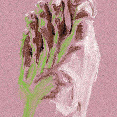 Timeline: Desarrollo del Embrión Humano