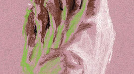 Timeline: Desarrollo del Embrión Humano