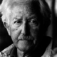Erik erikson