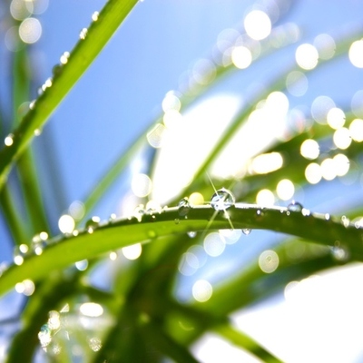 Timeline: Праздники