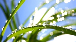 Timeline: Праздники