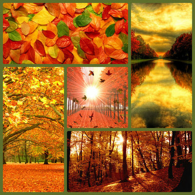 Timeline: праздники