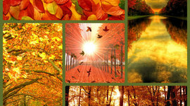 Timeline: праздники