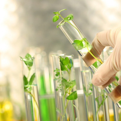 Timeline: Environmental Science Timeline