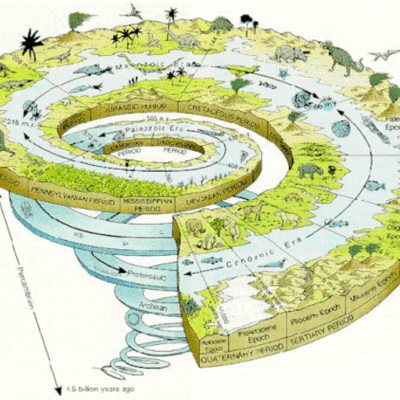 Timeline: Linea del tempo