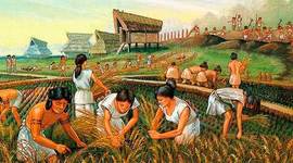 Timeline: Evolución de la agricultura