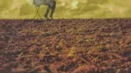 Timeline: Feminicidios