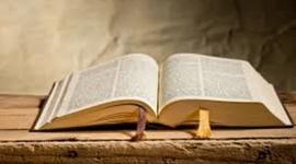 Timeline: Timeline History