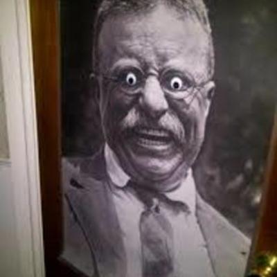 Timeline: qǝlɐɔ Willis