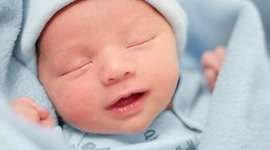 Timeline: La Vida De Matthew Vela