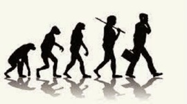 Timeline: Evolución hasta hoy