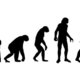 Theory of evolution