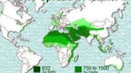 Timeline: Islam in the Middle Ages