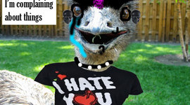 Timeline: Hammurabi's Harambe's Code of Laws