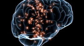 Timeline: History Of Psychology