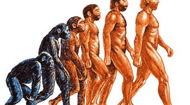 Timeline: Эволюция человека