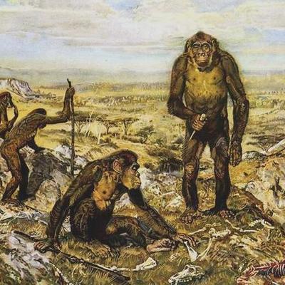 Timeline: Эволюция человека