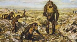 Timeline: Эволюция человека