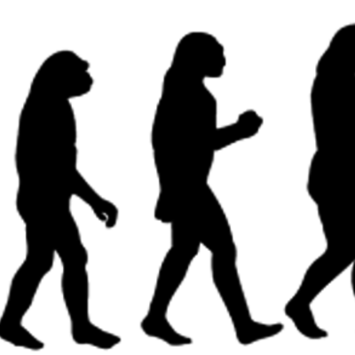 Timeline: Эволюция человека