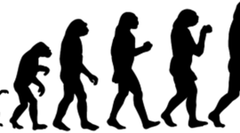 Timeline: Эволюция человека