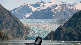 Timeline: computación