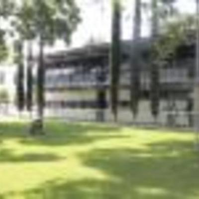 Timeline: Organizador Gráfico