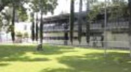 Timeline: Organizador Gráfico