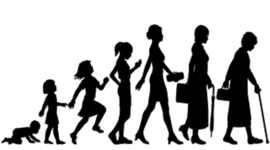 Timeline: Lifespan Development