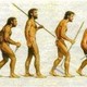 Evolución tecnológica