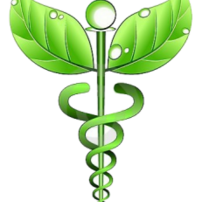 Timeline: artefacto tecnologicos