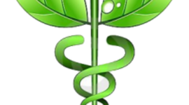 Timeline: artefacto tecnologicos