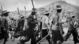 Timeline: Taining Rebellion