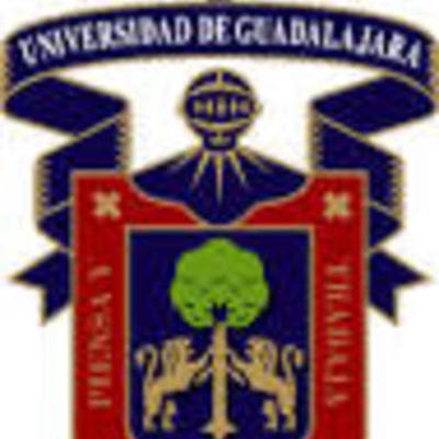 Timeline: RESPONSABILIDADES DE UN ASESOR BGAI.