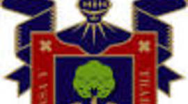 Timeline: RESPONSABILIDADES DE UN ASESOR BGAI.