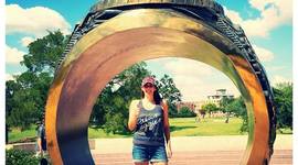 Timeline: My Wellness Journey