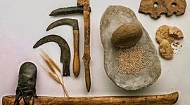 Timeline: sociedades históricas del Ecuador