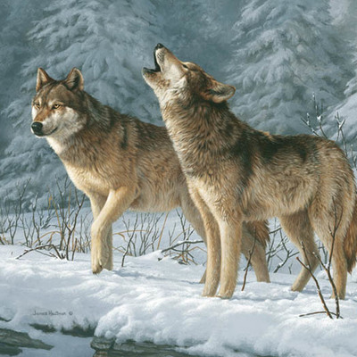 Timeline: Call of the Wild