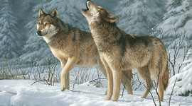 Timeline: Call of the Wild