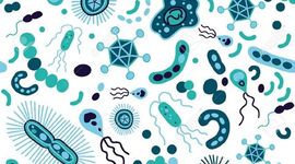 Timeline: Científics finals S. XVIII-Actualitat