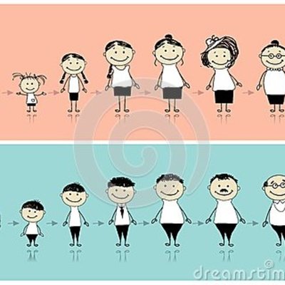 Timeline: Evaluación Nutricia En Las Diferentes Etapas De La Vida