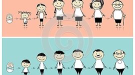 Timeline: Evaluación Nutricia En Las Diferentes Etapas De La Vida